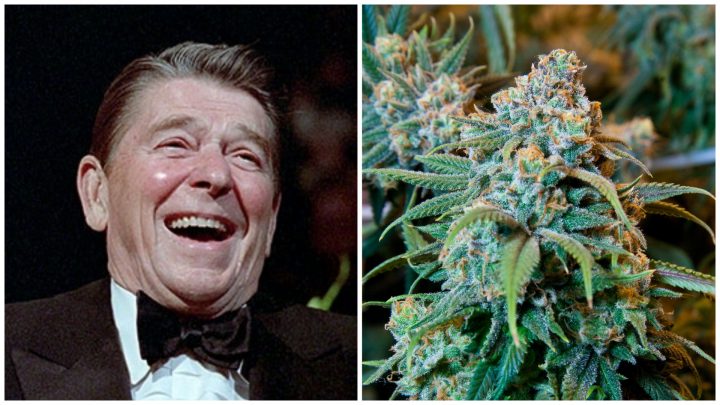 The US Stopped Other Countries from Legalizing Weed for Generations