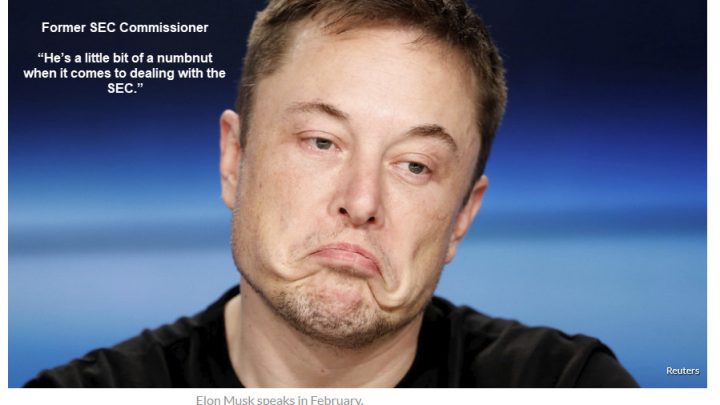 Musk Says Tesla Close to Profitability, Former SEC Official Calls Musk “Numbnut”