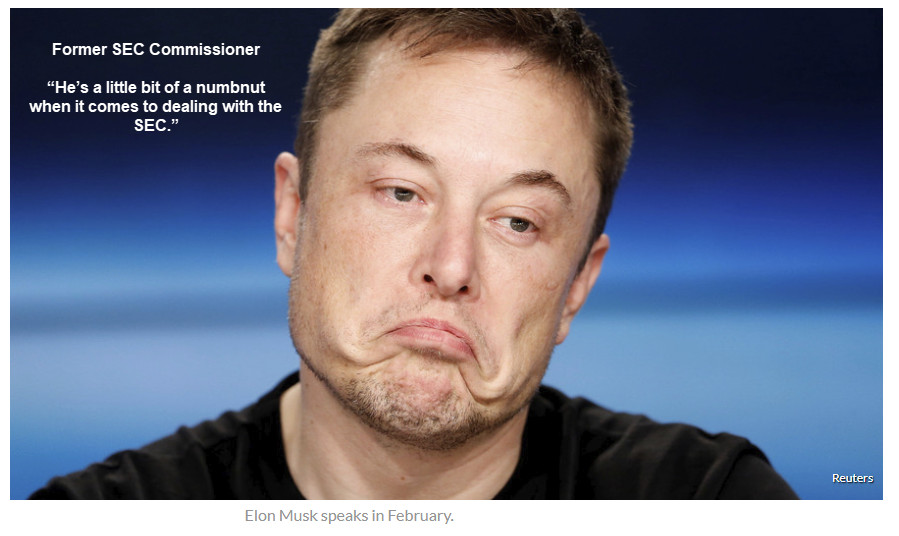 Musk Says Tesla Close to Profitability, Former SEC Official Calls Musk “Numbnut”