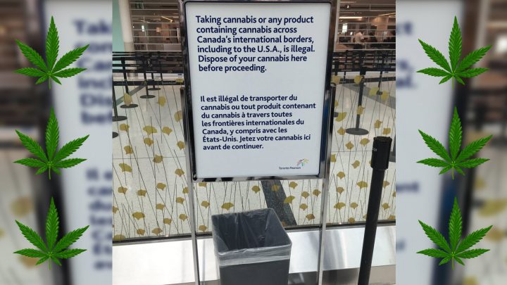 Sadly, There Are No ‘Free Weed’ Garbage Bins at Toronto’s Airport