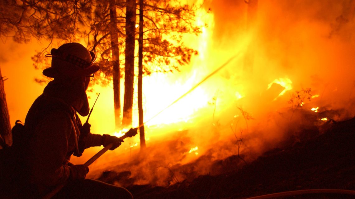 A Border Patrol Agent Started a 47,000-Acre Wildfire with a Gender Reveal Party