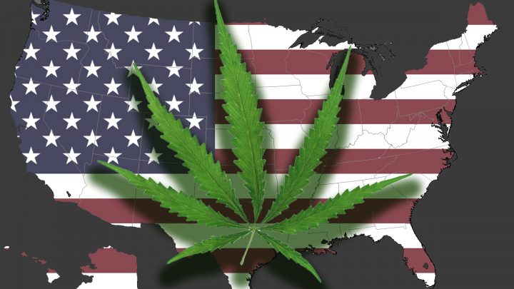 Everybody Loves Weed, Midterms Suggest