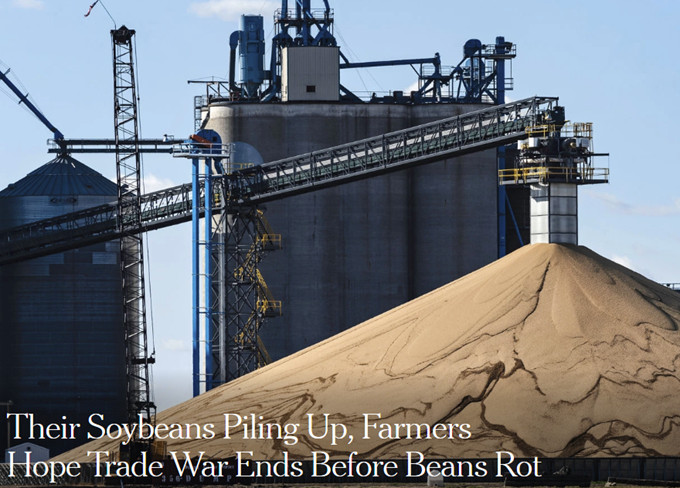 Soybeans Pile Up, So Do Worries of Bean Rot