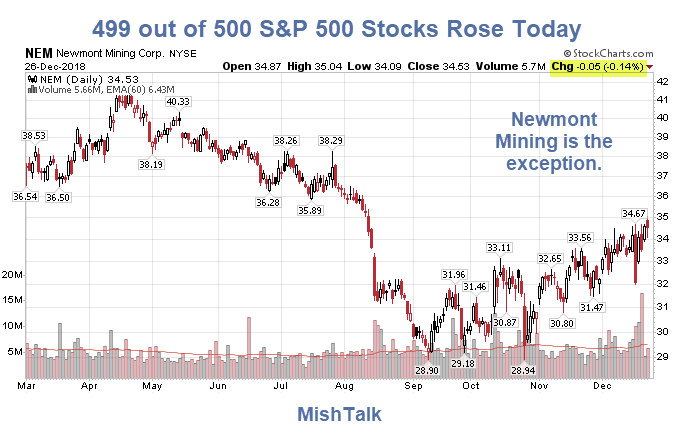 499 out of 500 S&P 500 Stocks Rose Today