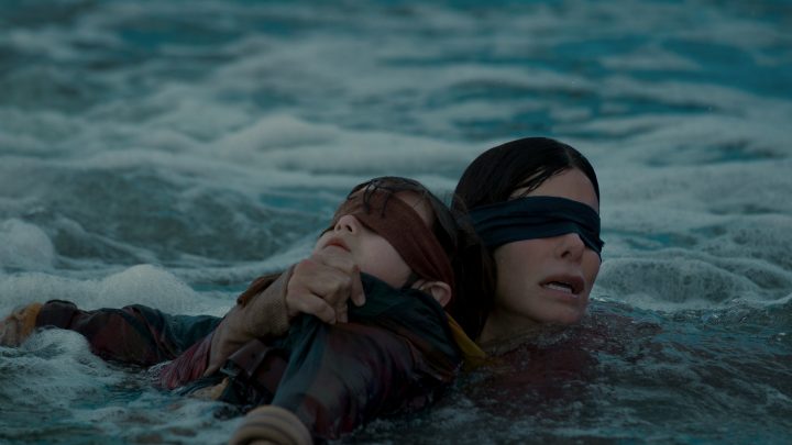 The Car Crash Caused by the Bird Box Challenge Reveals the Dark Side of Memes