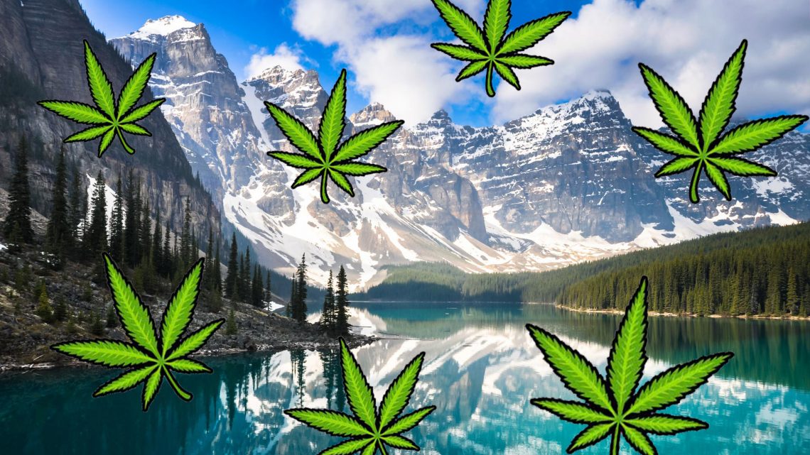 Luxury Weed Tourism Is the Hot New Trend in Canada