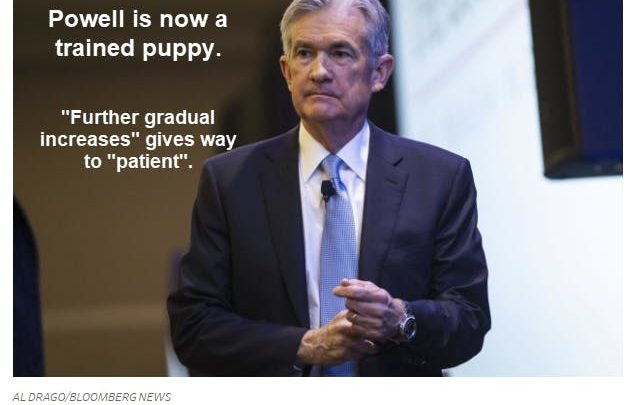 Powell Now a Fully-Trained Puppy Happy to Please Master Market