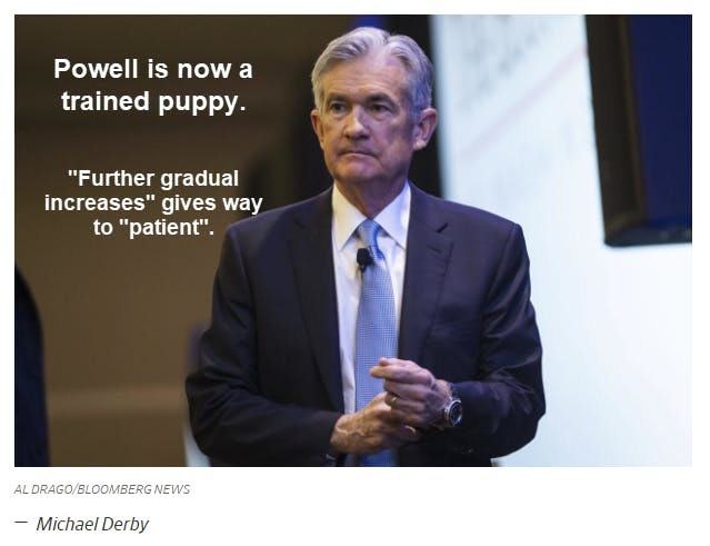 Powell Now a Fully-Trained Puppy Happy to Please Master Market