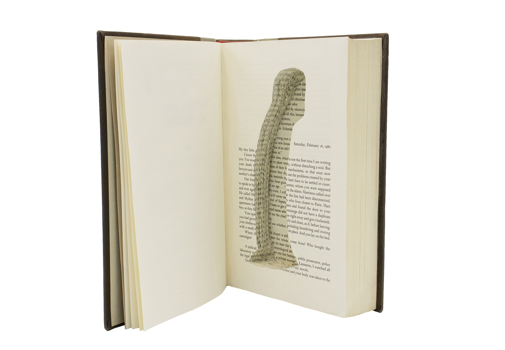 An open book with a dildo shaped hole cut into its pages