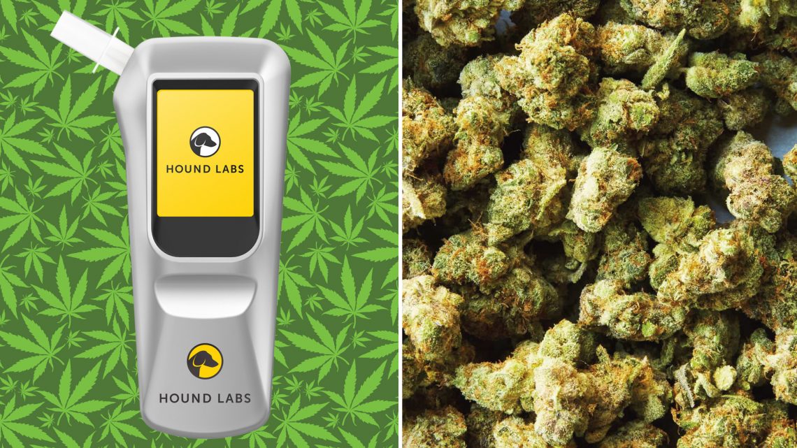 This Company Claims It’s Created the World’s First Weed Breathalyzer