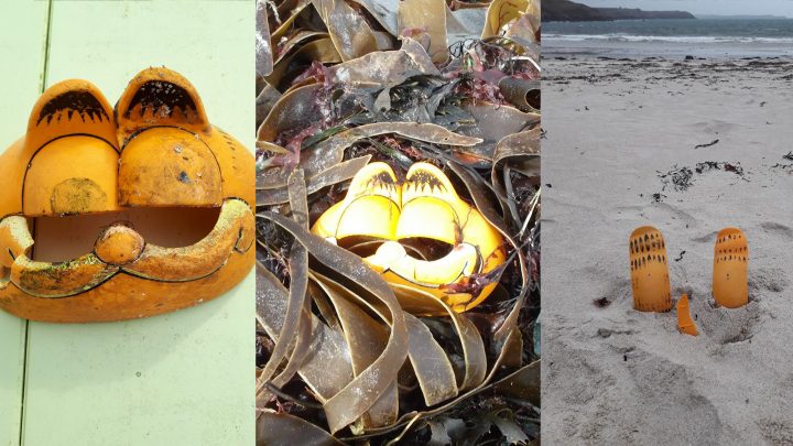 We Finally Know Why Garfield Phones Washed Up on French Beaches for 30 Years
