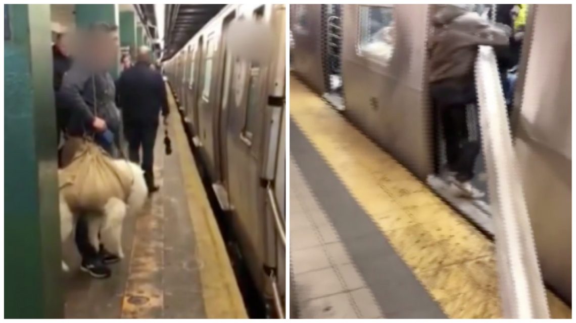 ‘VICE LIVE’ Watches People Bring Ridiculously Large Things on the Subway