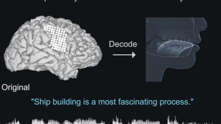 Speech Synthesized From Brain Activity