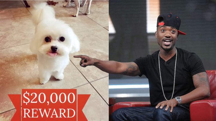 Ray J’s Dog ‘Boogotti’ Got Kidnapped, and We Will Not Rest Until He Is Returned