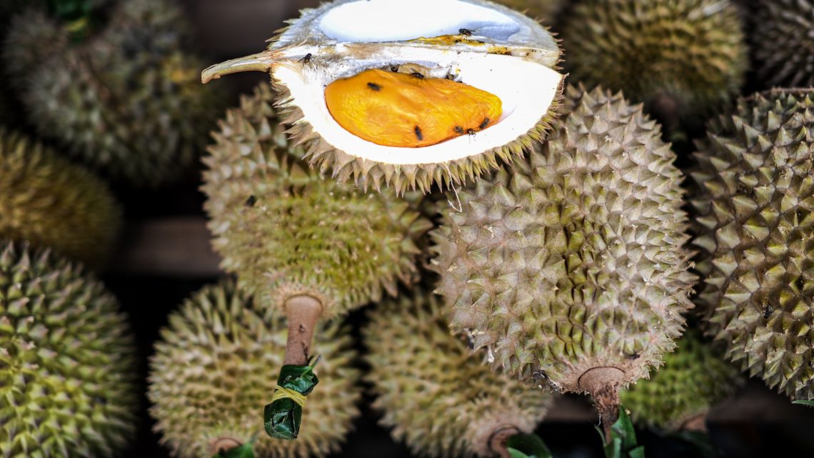 Driver Learns the Hard Way that Durian Can Make You Fail a Breathalyzer Test