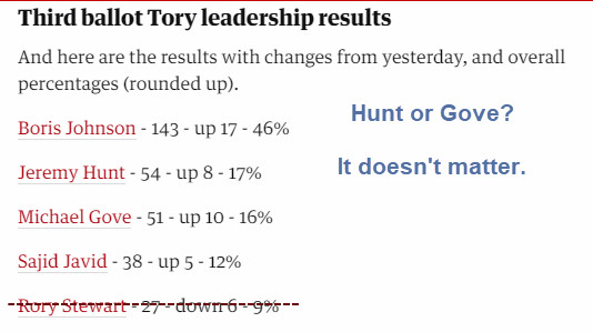Rory Stewart Knocked Out of Tory Leadership With Fewer Votes Than Yesterday