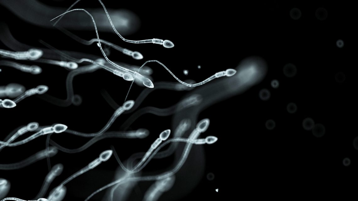 The Complex Ethics of Saving a Dead Person’s Sperm