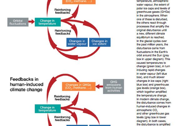 Systems Thinking, Lumpers and Splitters, Systems Education