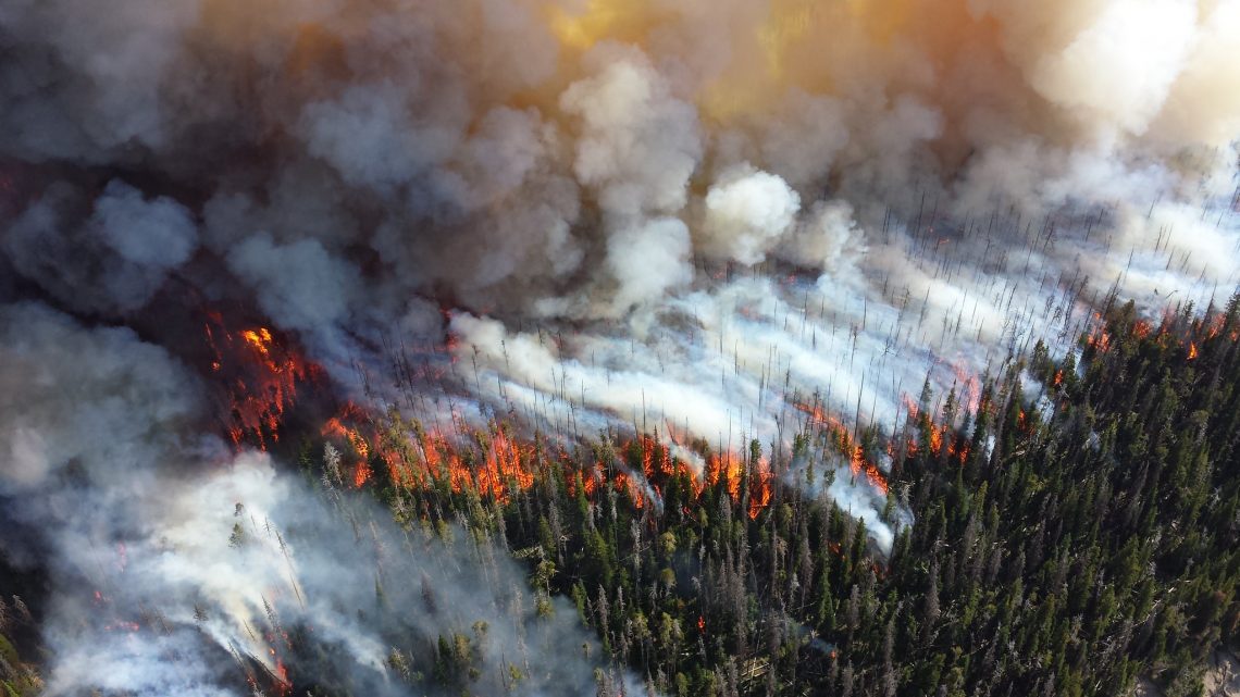 Under Trump, 26% of Climate Change References Have Vanished From .Gov Sites