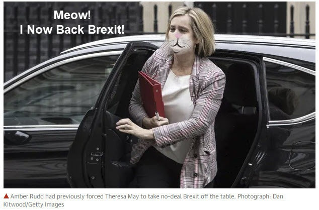 Remainer Dogs Now Meowing Like Brexit Cats