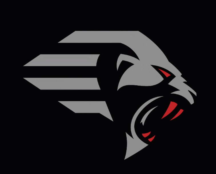 XFL logo for the New York Guardians. A stylized grey head of a lion-like creature in profile, with red eyes and fangs, on a black background.