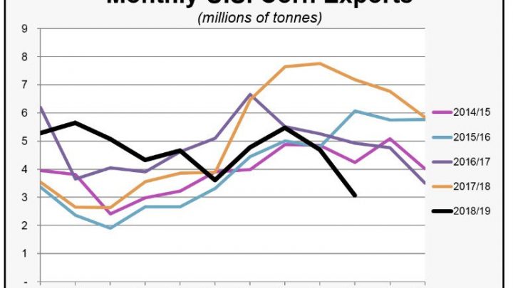 Corn Exports Plunge but Trump “Not Ready to Make a Deal With China”