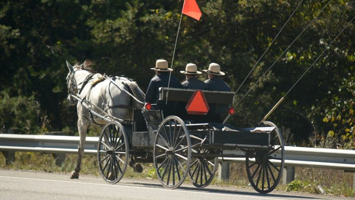 Two Amish Men Escaped the Cops After Being Caught Chugging Beer in a Horse-Drawn Buggy