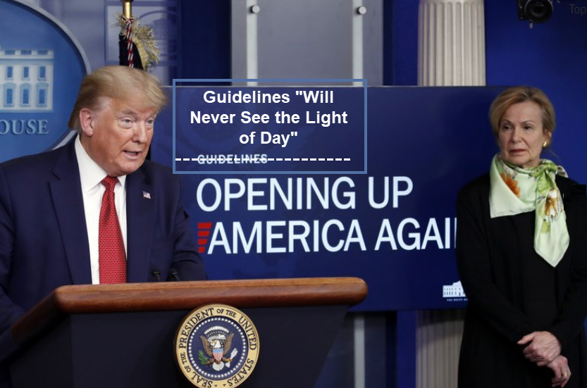 Trump Develops Guidelines “That Will Never See the Light of Day” But Here They Are