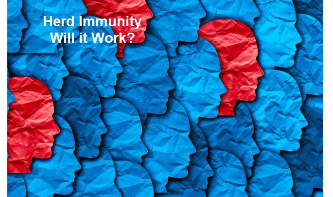 Is Sweden’s Herd Immunity Strategy the Best We Can Do?