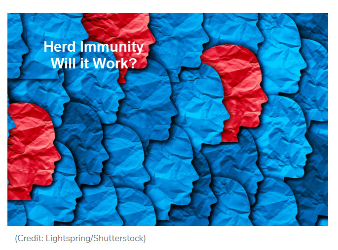 Is Sweden’s Herd Immunity Strategy the Best We Can Do?