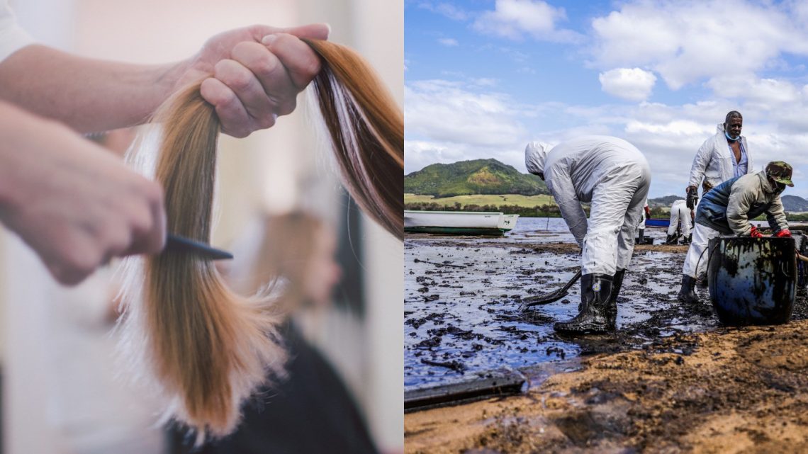 Human Hair is Being Collected to Soak Up an Oil Spill in Mauritius
