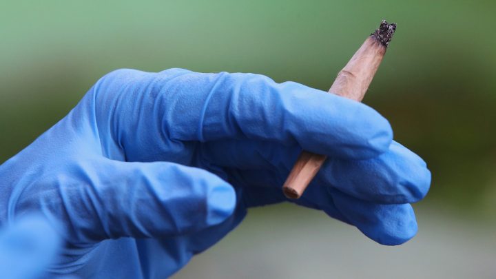 As the Pandemic Drags on, More People Are Smoking More Weed
