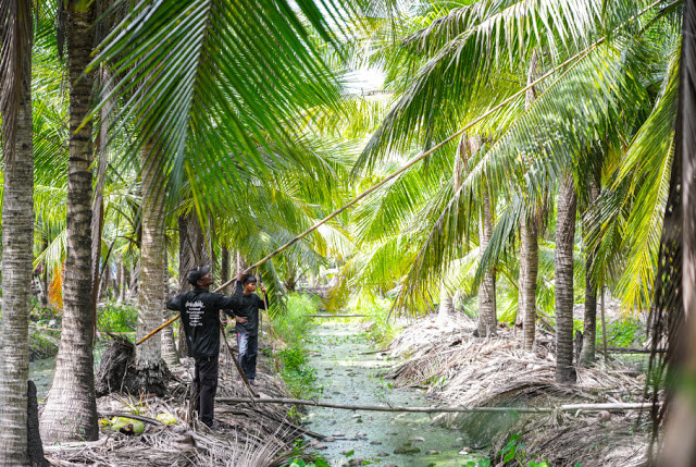 PETA Lies About Thai Coconuts Exposes Western Fake News (Again)