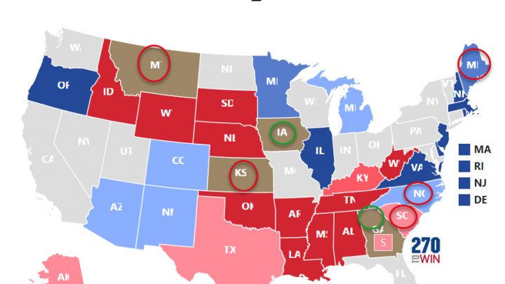 Senate Surprises: What to Look Out For in the Election